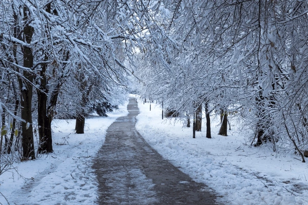 cold weather